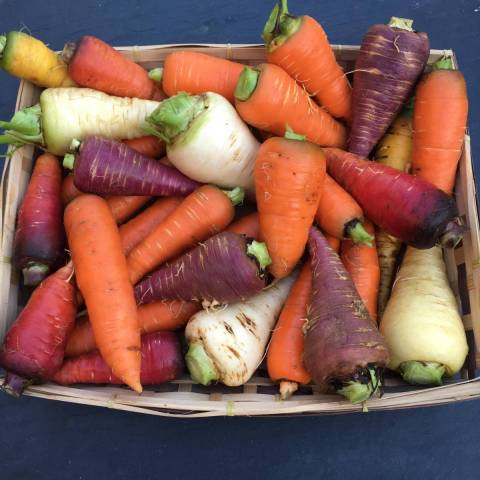 1 kg de carottes multicolores