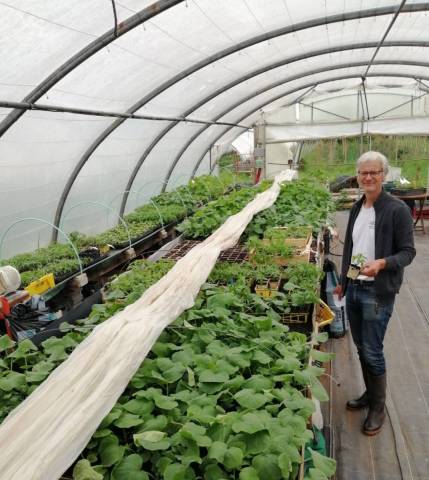 Samuel dans la serre de plants