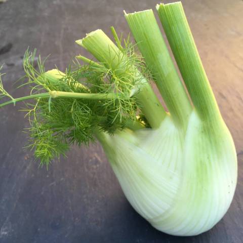 400 g de fenouils