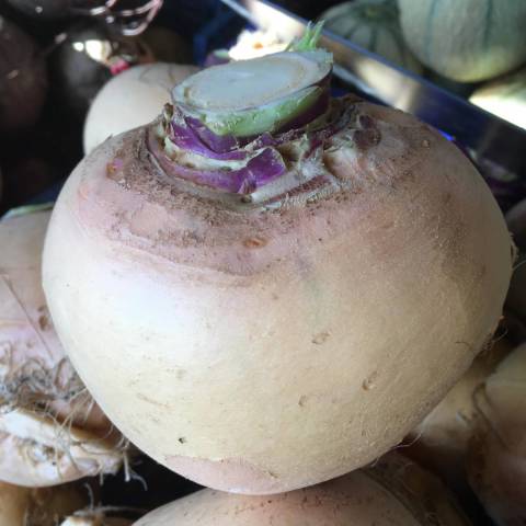 1 rutabaga 