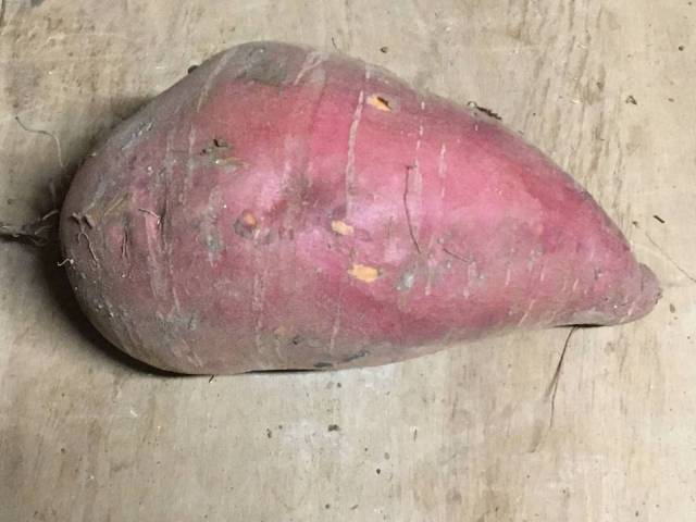 500 g de patates douces 