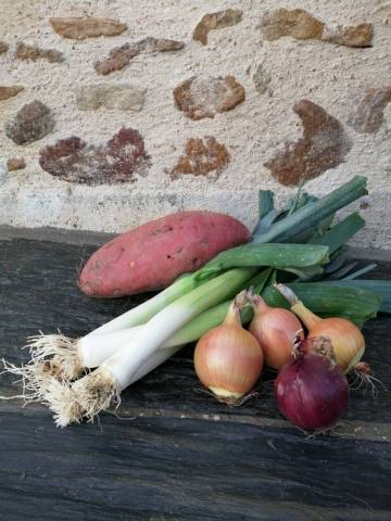 2,5 kg pour pure et velout avec une base de patates douces