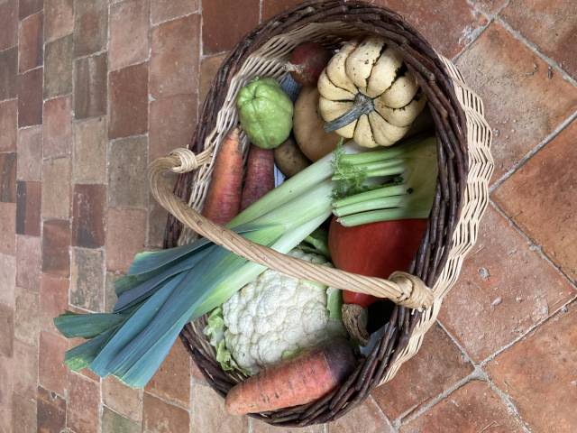 Grand panier de lgumes de printemps