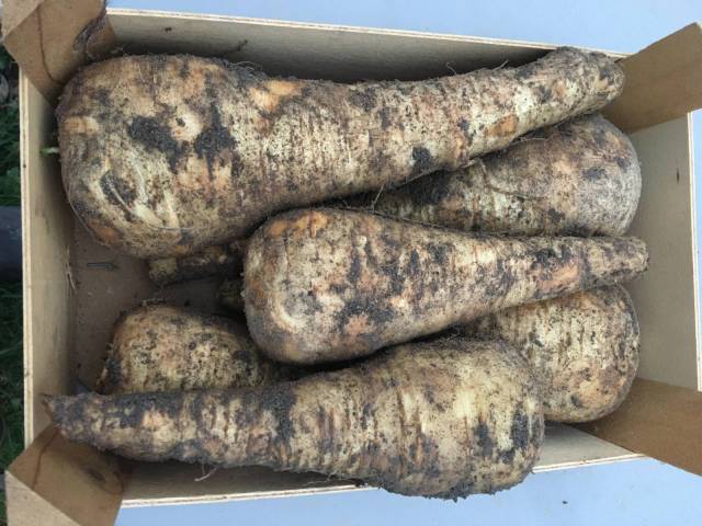 750 g de panais