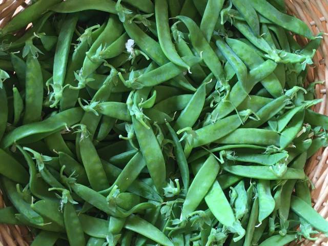 500 g de Pois mange-tout