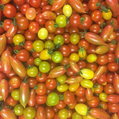 350 g de tomates cerises en mlange