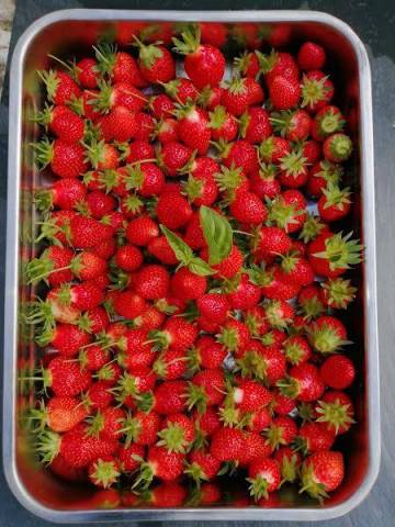3 barquettes  de fraises 