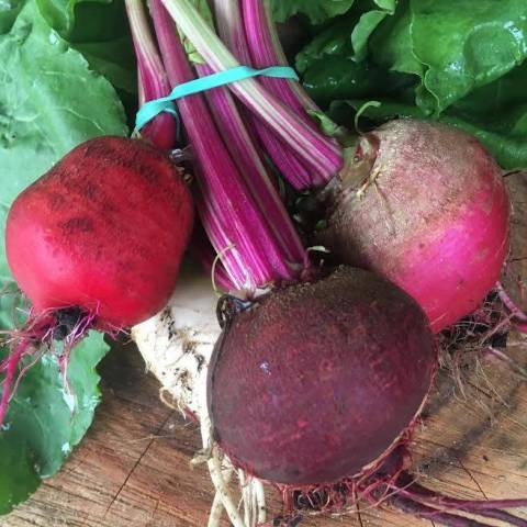 1 botte de betteraves rouges