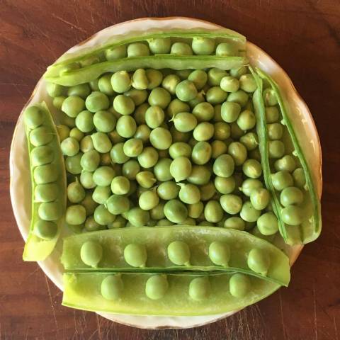 1 kg de petits pois  cosser