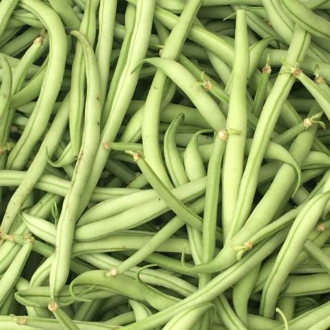 4 kg d'haricots verts