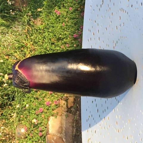 1 aubergine environ 300 g