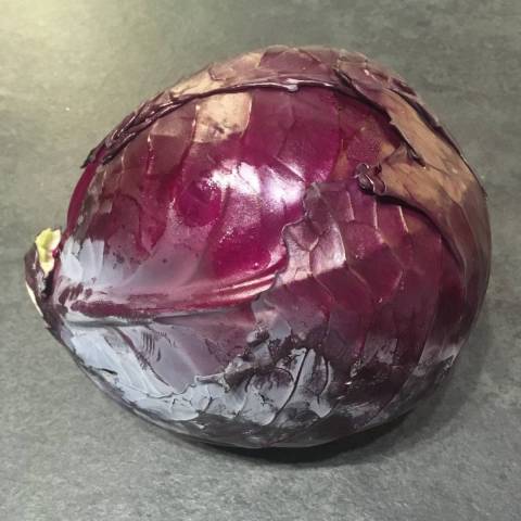 1 gros chou  rouge de 1,5 kg et plus