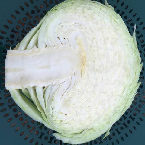 1 chou  pomm de 500 g ou 1 demi chou 