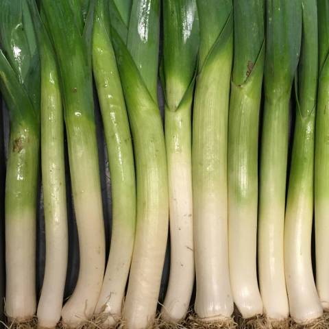 2 kg de poireaux 