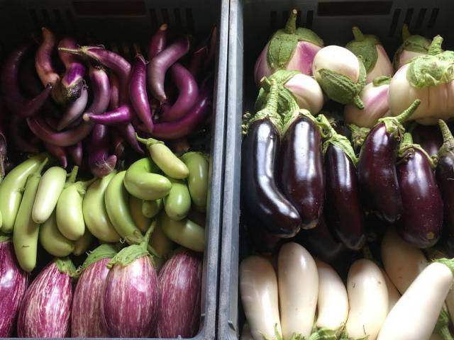 500 g  d'assortiment d'aubergines de diffrentes couleurs 