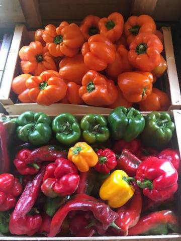 500 g de poivrons de diverses couleurs