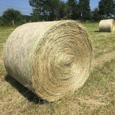 1 botte ronde de foin bio 200 kg