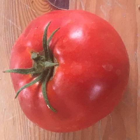 750 g de tomates Rondes diverses
