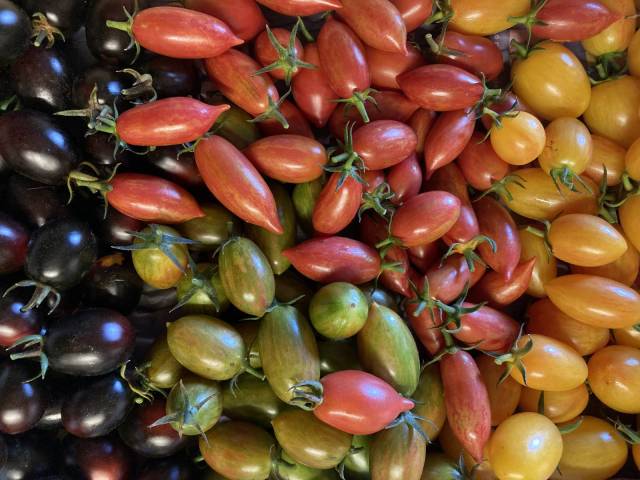 400 g de tomates cocktail Lucky rouge, rose, jaune, indigo et et verte