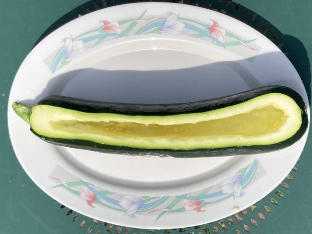 1 grosse courgettes  farcir