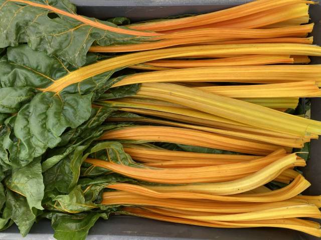 600 g de cardes  ctes jaunes